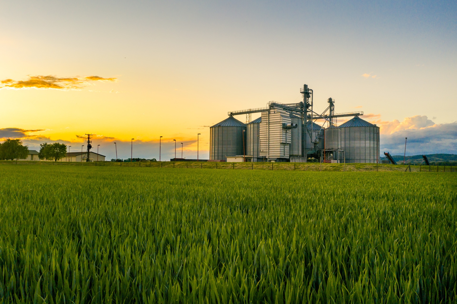 view-of-farm-and-silos